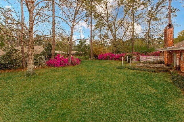 view of yard