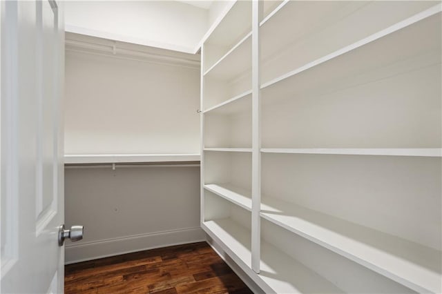 walk in closet featuring dark wood-style floors
