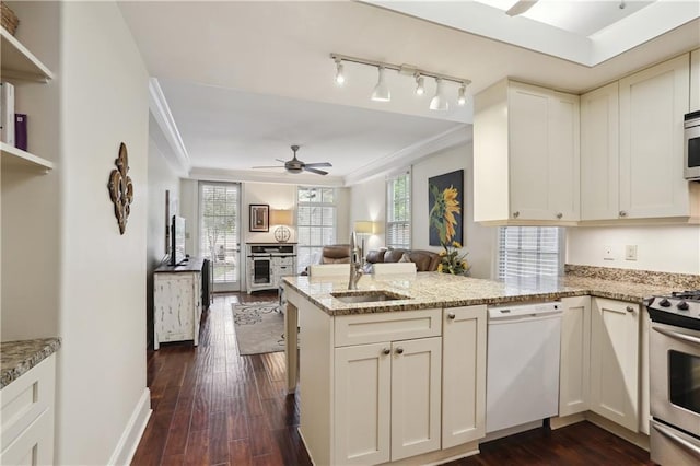 kitchen featuring a peninsula, a sink, a wealth of natural light, and stainless steel appliances
