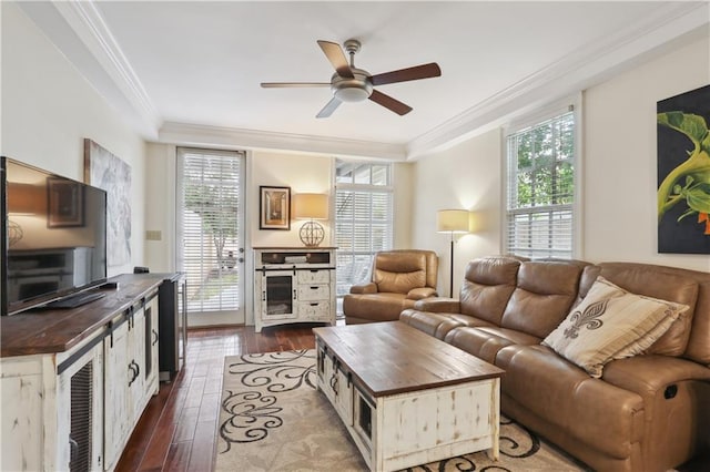 living area featuring dark wood-type flooring, ceiling fan, a healthy amount of sunlight, and ornamental molding