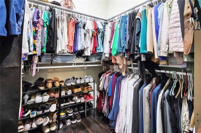 walk in closet featuring wood finished floors