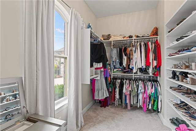 walk in closet featuring carpet