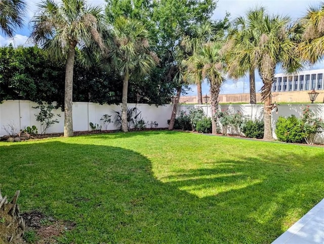 view of yard with a fenced backyard
