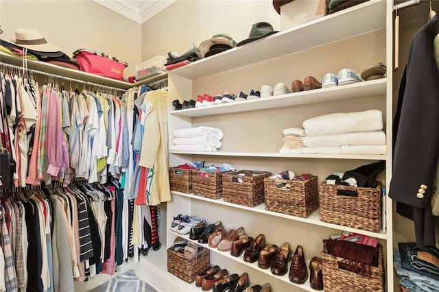 view of spacious closet