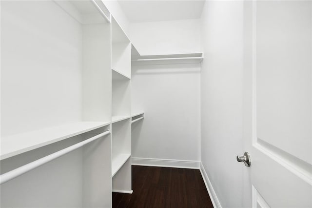 walk in closet with dark wood-style floors