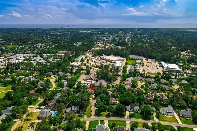 drone / aerial view