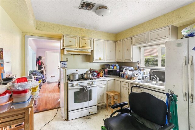 1717 Foucher St, New Orleans, LA 70115 - kitchen with white appliances, light countertops, a textured ceiling, under cabinet range hood, and a sink