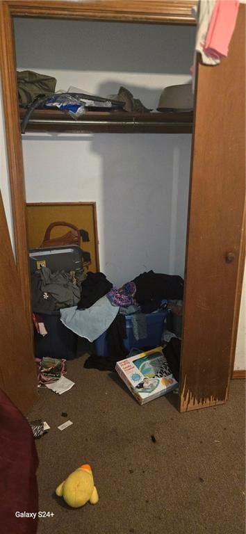 view of closet