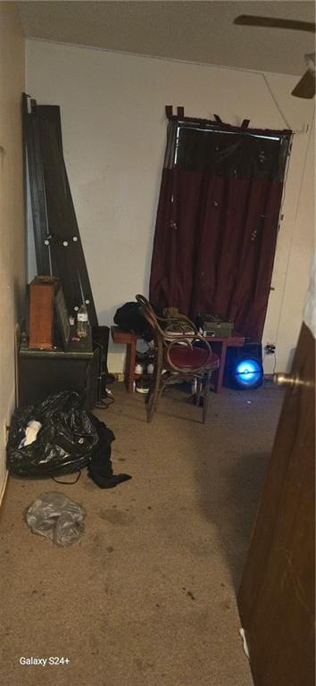 interior space featuring carpet floors
