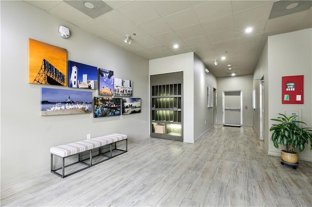 835 Julia St Unit 17, New Orleans, LA 70113 - hall with baseboards, wood finished floors, and a paneled ceiling