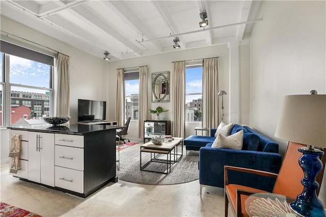835 Julia St Unit 17, New Orleans, LA 70113 - living area featuring beam ceiling and a wealth of natural light