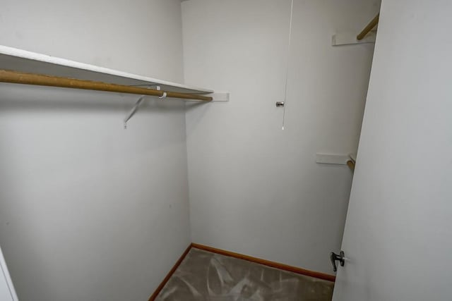 walk in closet with carpet floors