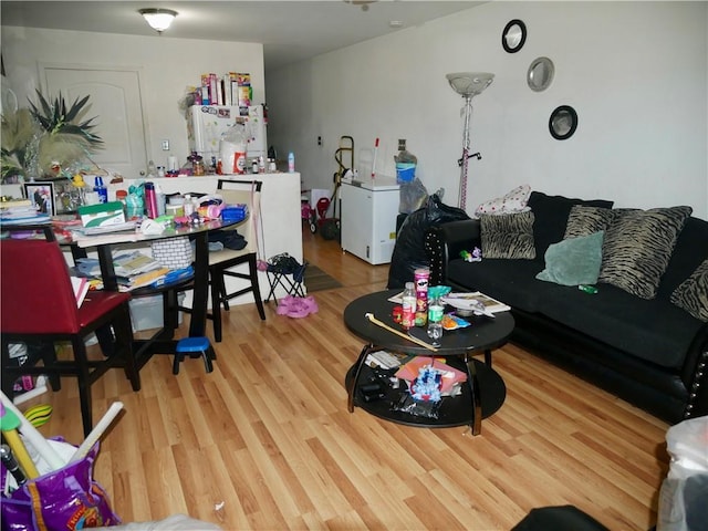 living area featuring light wood-style flooring