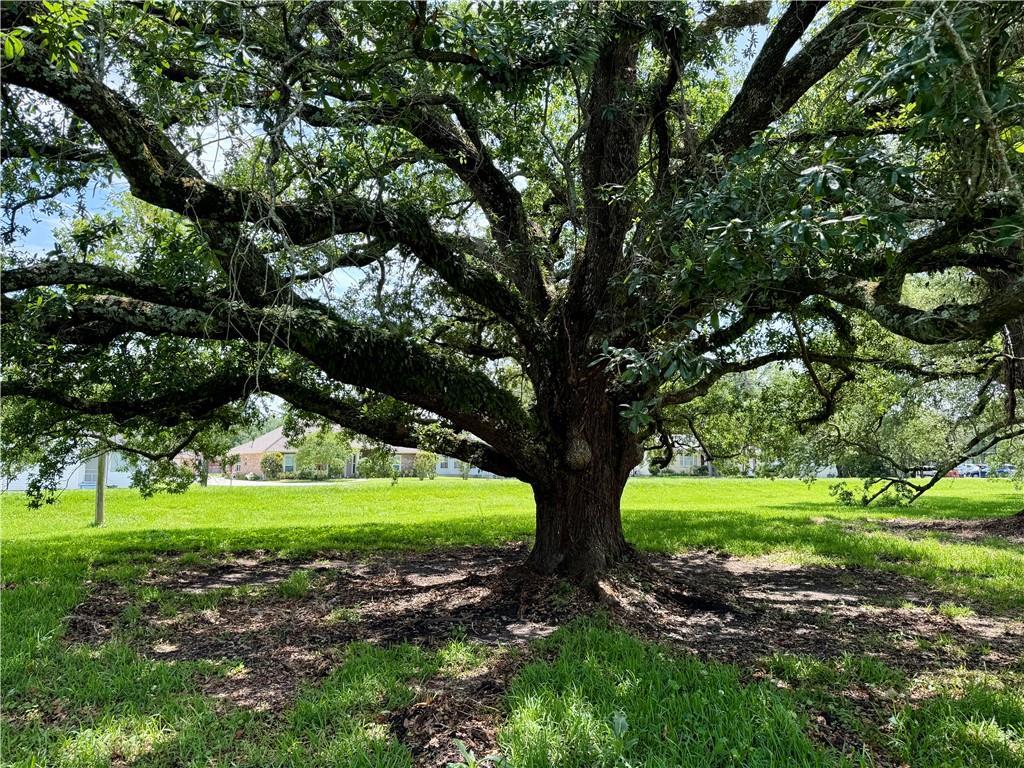 LOT15 Main St, La Place, LA 70068