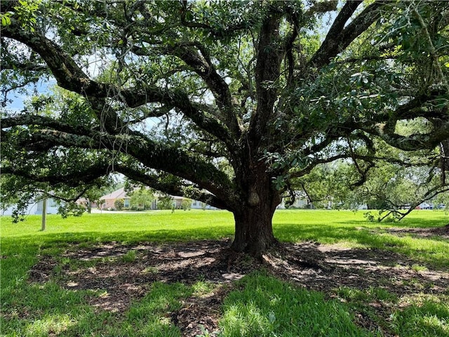 LOT15 Main St, La Place, LA 70068