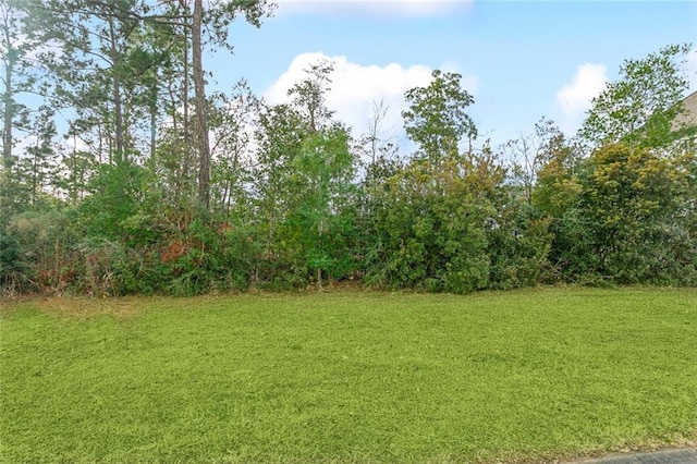 14 Wax Myrtle Ln, Covington, LA 70433 - photo 3