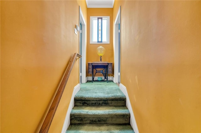 stairway with carpet floors and baseboards