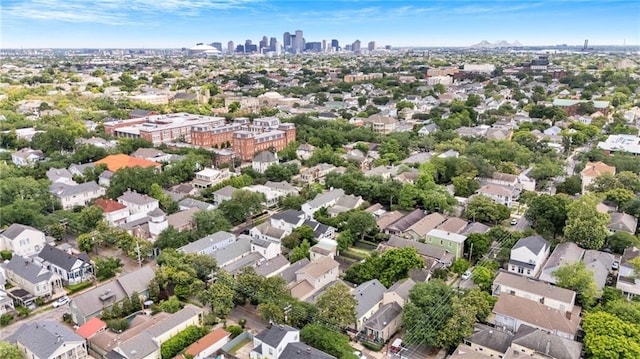 bird's eye view