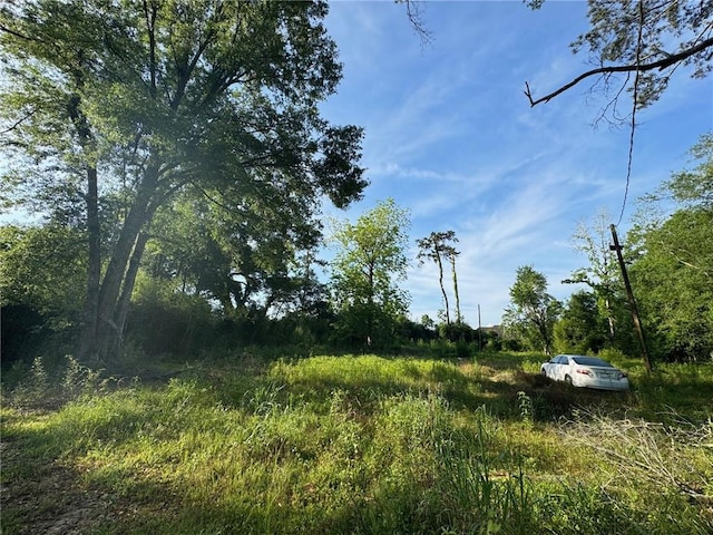 17188 E Park Ave, Hammond, LA 70403 - photo 2