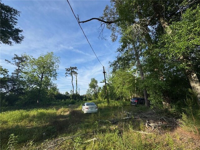 17188 E Park Ave, Hammond, LA 70403 - photo 3