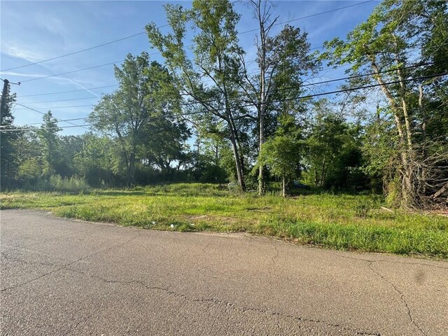17188 E Park Ave, Hammond, LA 70403 - photo 6