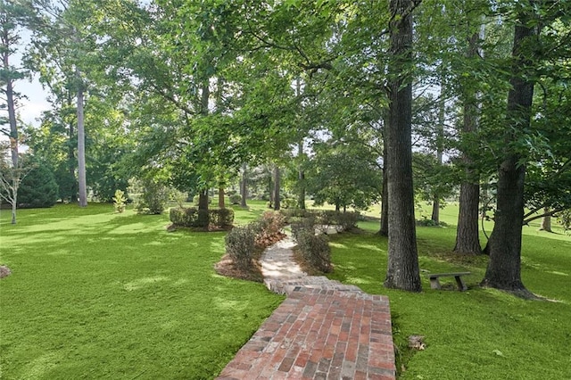502 Northwoods Dr, Abita Springs, LA 70420 - photo 38