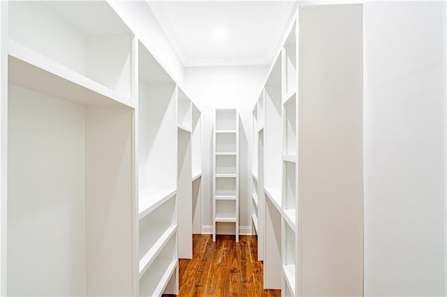 walk in closet featuring dark wood-style flooring