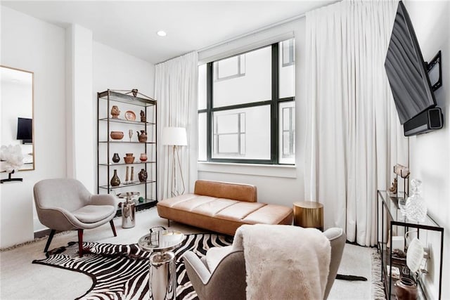 1201 Canal St Unit 416, New Orleans, LA 70112 - living area featuring carpet flooring