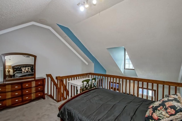 2441 Chartres St, New Orleans, LA 70117 - bedroom featuring vaulted ceiling with skylight, carpet floors, and a textured ceiling