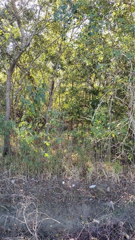 Florissant Hwy, Saint Bernard, LA 70085 - photo 4