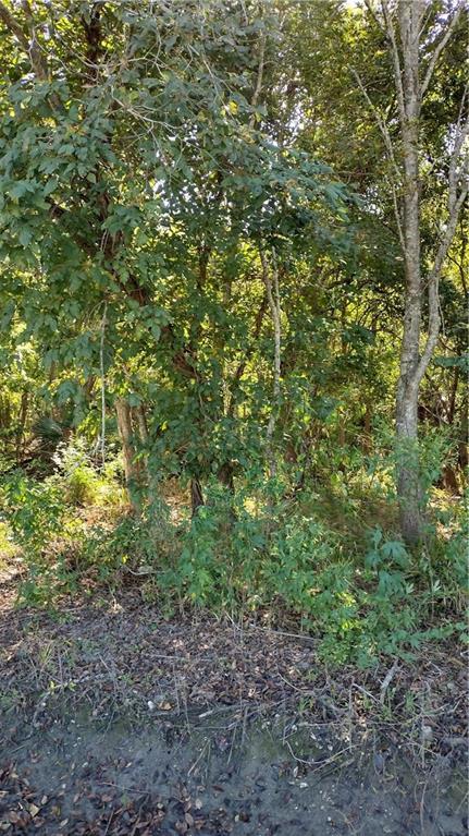 Florissant Hwy, Saint Bernard, LA 70085 - photo 5
