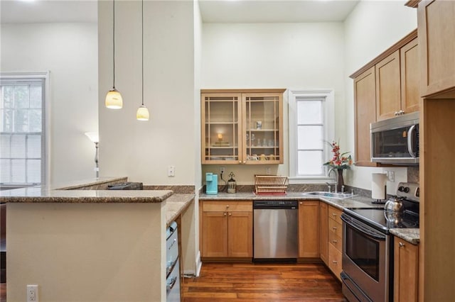 192426 Esplanade Ave, New Orleans, LA 70116 - kitchen featuring dark wood finished floors, a sink, a peninsula, glass insert cabinets, and stainless steel appliances