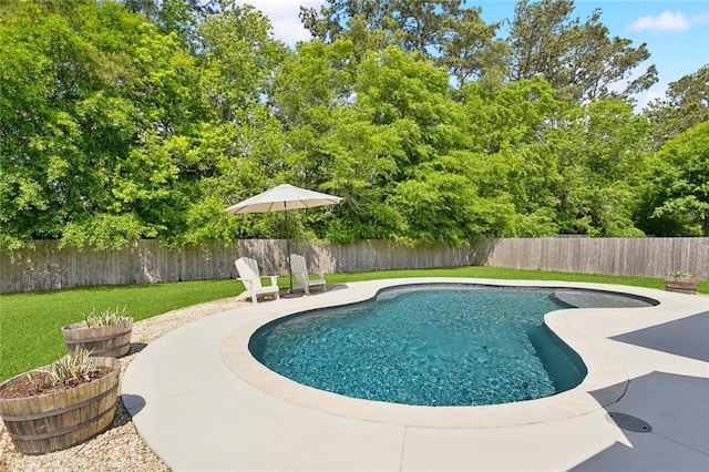 view of pool featuring a patio, a fenced backyard, a lawn, and a fenced in pool