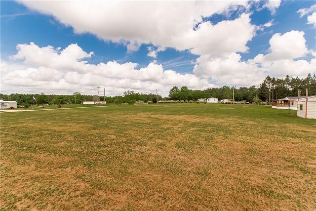 32536 D Wascom Rd, Mount Hermon, LA 70450 - view of yard