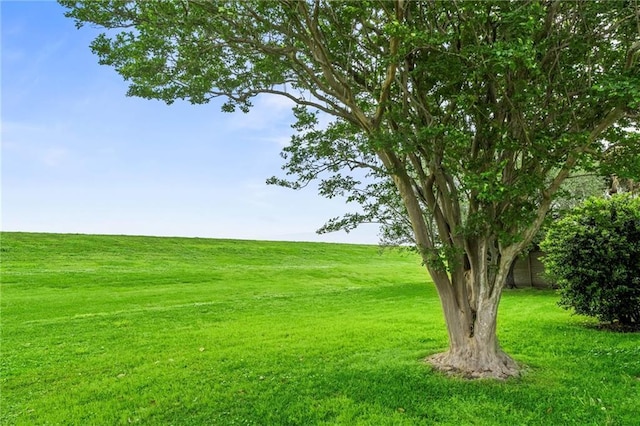 view of yard featuring a rural view