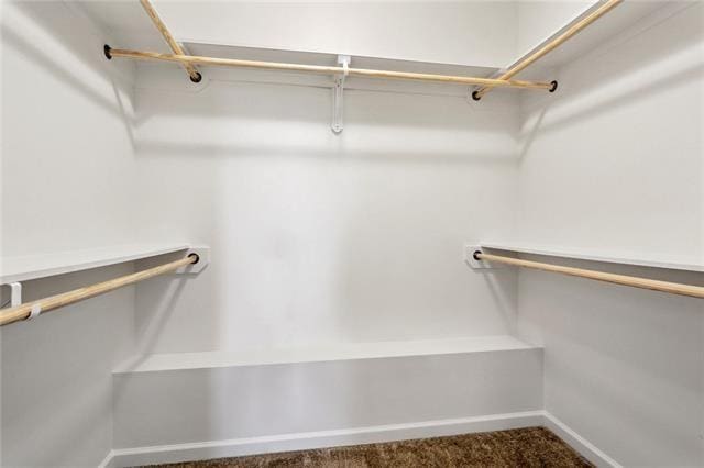324 Ashton Oaks Ln, Luling, LA 70070 - spacious closet with carpet flooring