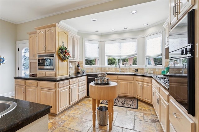 kitchen with a healthy amount of sunlight, light brown cabinets, and stainless steel appliances