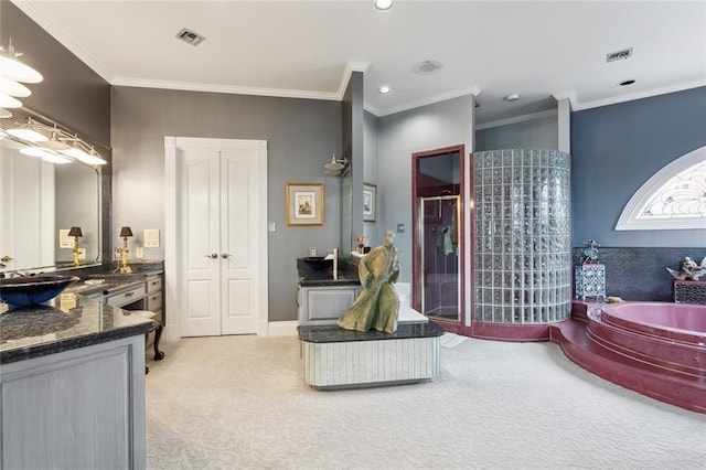 bathroom featuring vanity, visible vents, ornamental molding, and a stall shower