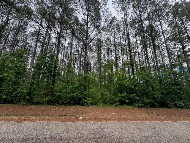 Newman Briggs Rd, Kentwood, LA 70444