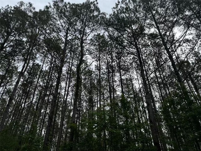 Newman Briggs Rd, Kentwood, LA 70444