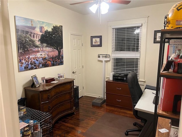 office space with ceiling fan, baseboards, and dark wood-type flooring