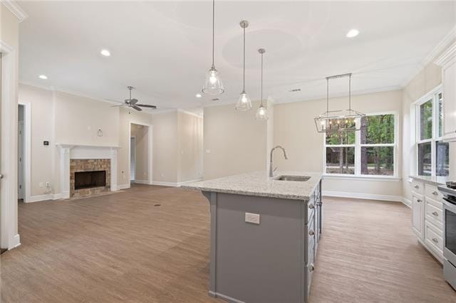 kitchen featuring baseboards, a sink, gray cabinets, and wood finished floors