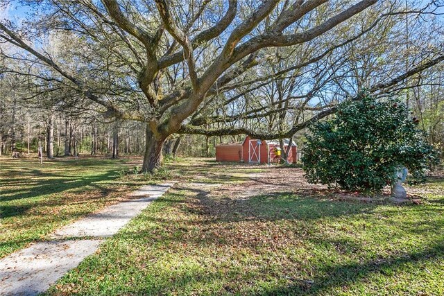 view of yard featuring a storage shed and an outdoor structure