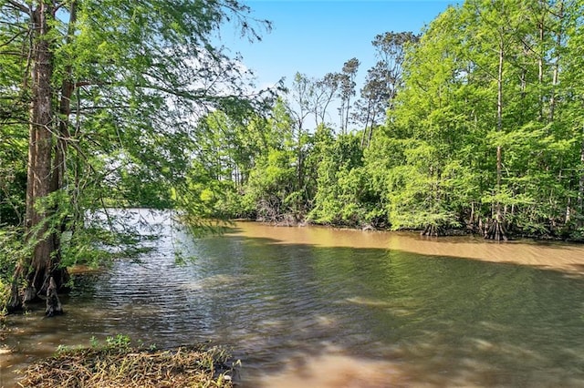 31814 River Pines Dr, Springfield, LA 70462 - view of water feature