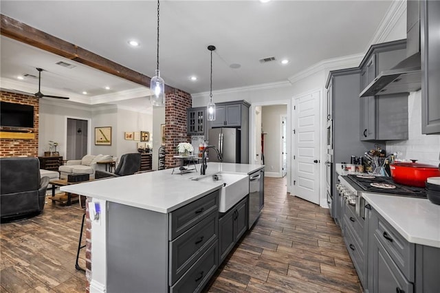 kitchen featuring dark wood-style flooring, stainless steel appliances, gray cabinets, and a sink
