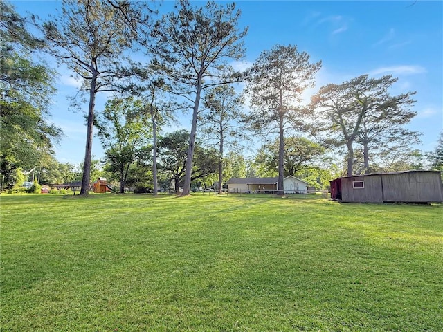 view of yard featuring an outbuilding