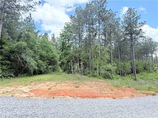 LOT19 Caro Ln, Franklinton, LA 70438 - photo 1