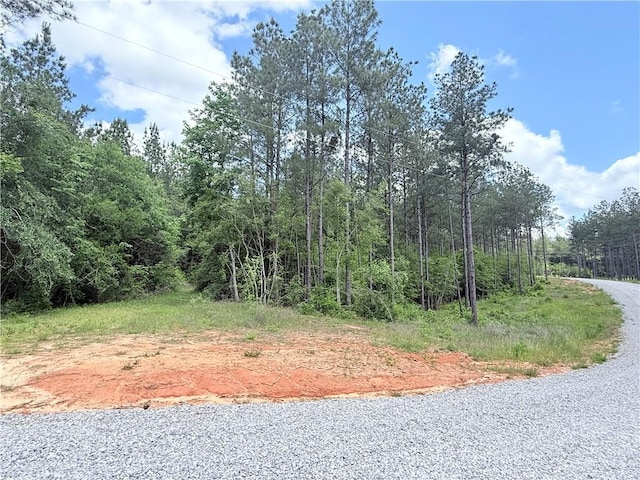 LOT19 Caro Ln, Franklinton, LA 70438 - photo 2
