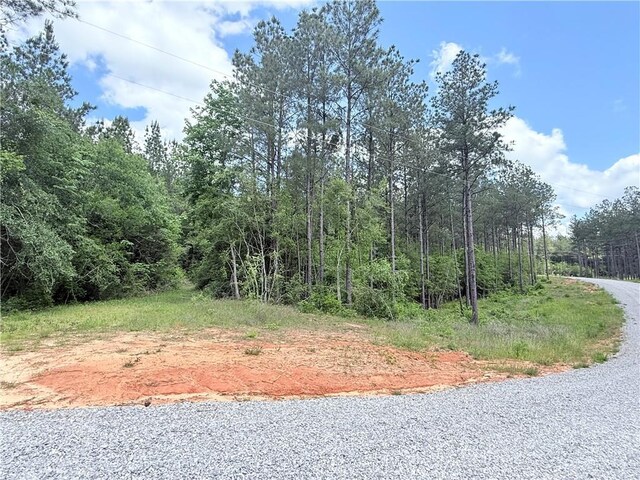 LOT19 Caro Ln, Franklinton, LA 70438 - photo 3