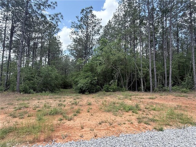 LOT19 Caro Ln, Franklinton, LA 70438 - photo 4